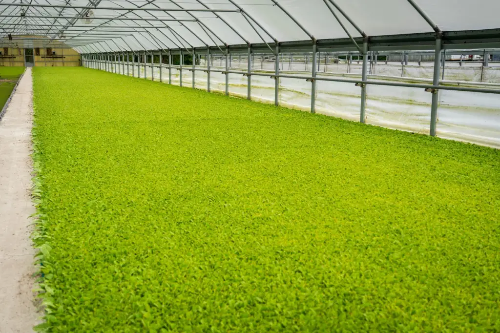 多维度成本控制技术对比：传统模式与智能财务工具的优劣分析